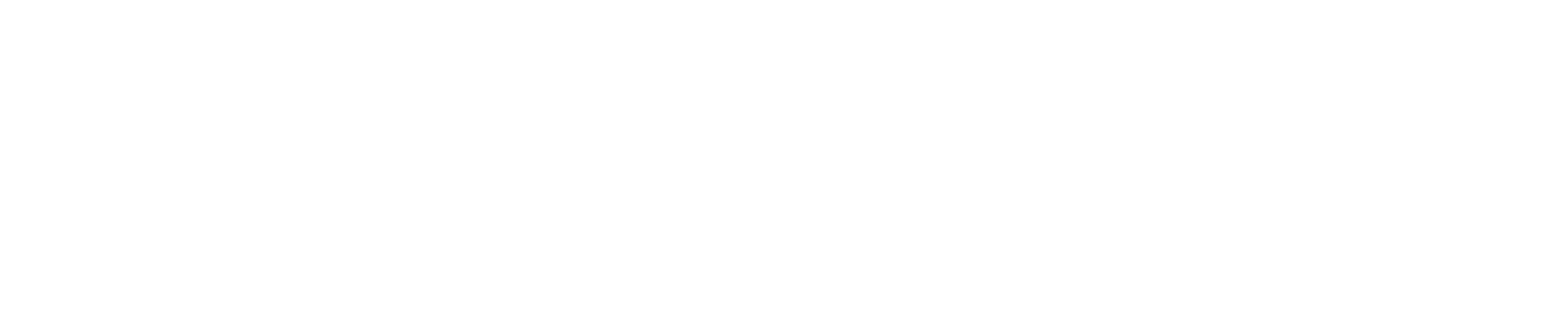 SportsVision